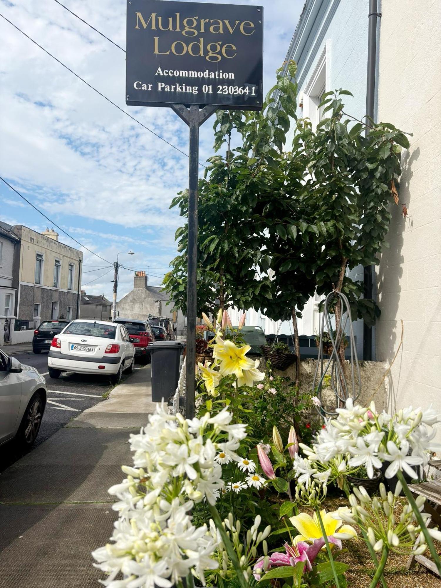 Mulgrave Lodge Dun Laoghaire Kültér fotó